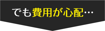 でも費用が心配…